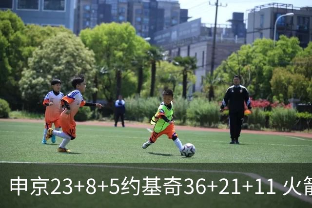 申京23+8+5约基奇36+21+11 火箭险胜掘金6连胜